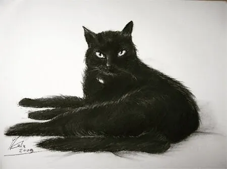 Carboncino, la mia micia: mi ha tenuto compagnia per 11 anni