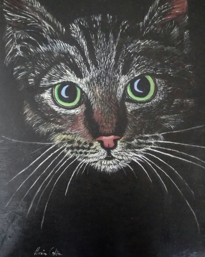 «Libertà... negli occhi di un gatto la puoi ritrovare»